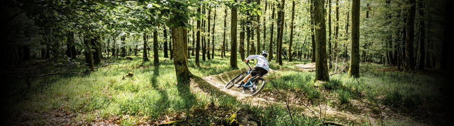 Trail bicykle CTM 2025