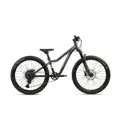 ACADEMY S-GRADE Trail 5 - 24"