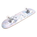 Velký dřevěný skateboard FROZEN WATERCOLOR