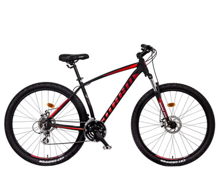 MAYO XC 29"eR BASIC D 2022