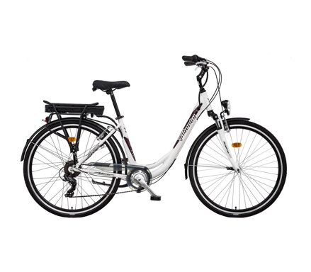 LIBERTY e-STRADA 6spd zadní motor