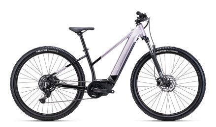 CTM ROXXY GX 2025 