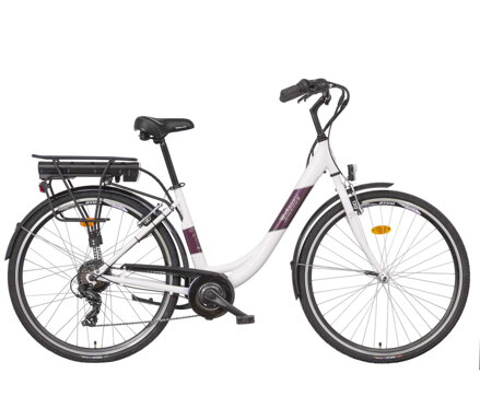 LIBERTY e-STRADA 6spd zadní motor