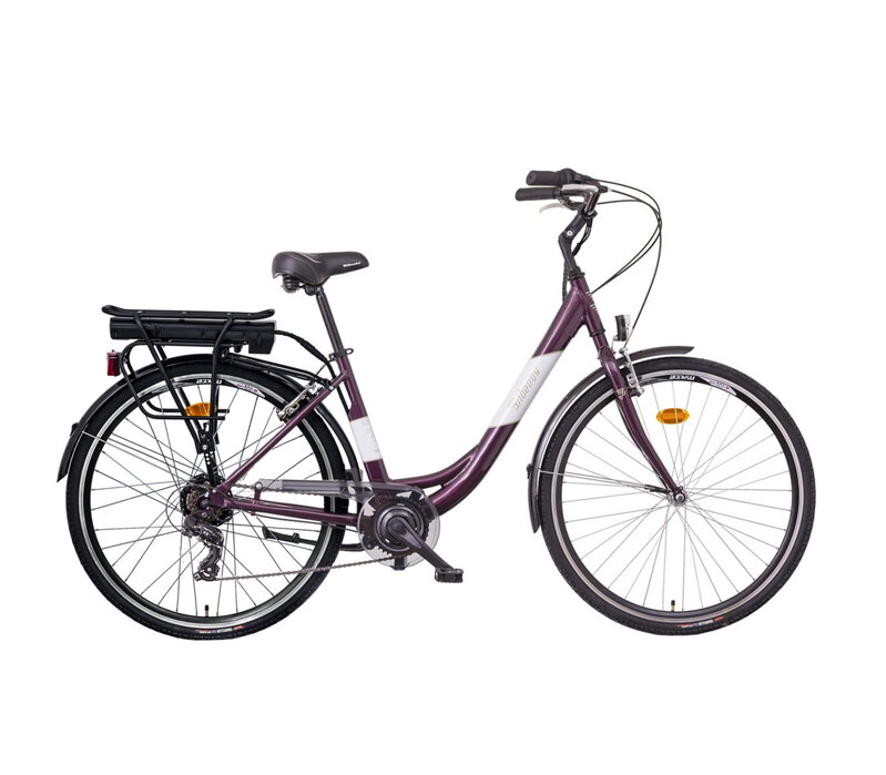 LIBERTY e-STRADA 6spd zadní motor