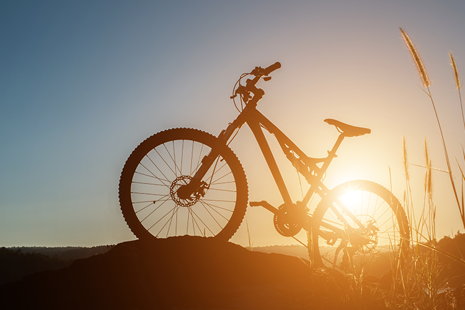 Jak vybrat správný typ kola